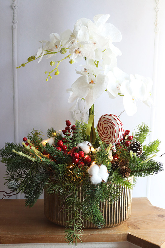 Lollypop Candy, elegancki storczyk zimowy LED