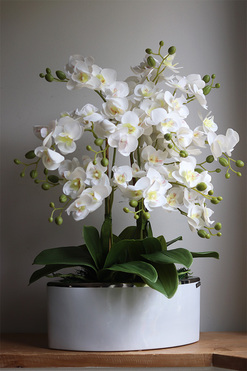 Manfredo Niagara 2, gumowy storczyk w biało-srebrnej donicy, wys.64cm