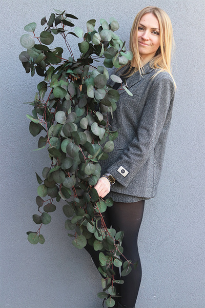 Eucalipto, bukiet wiszący