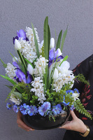 Tulip Iris, komplet dekoracji nagrobnych