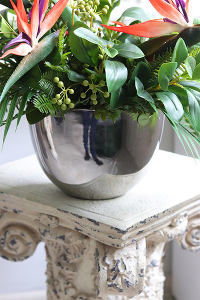 Strelicja Cinderella, kompozycja w srebrnej donicy