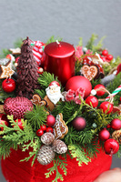 Gwiazdka z Leonem 2, flowerbox świąteczny