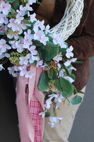 Apple Pink, wiosenny wianek