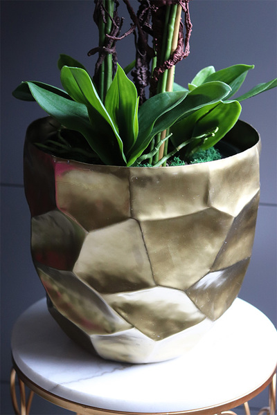 Fuksja Gold Palace, sztuczny storczyk w złotej donicy