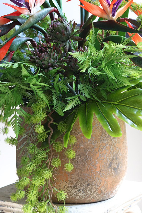 Gold Princera Strelicja 2, kompozycja w złotej donicy