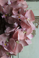 asymetryczny wianek z chwostem, Orchidelia Pudrova, śr.42cm