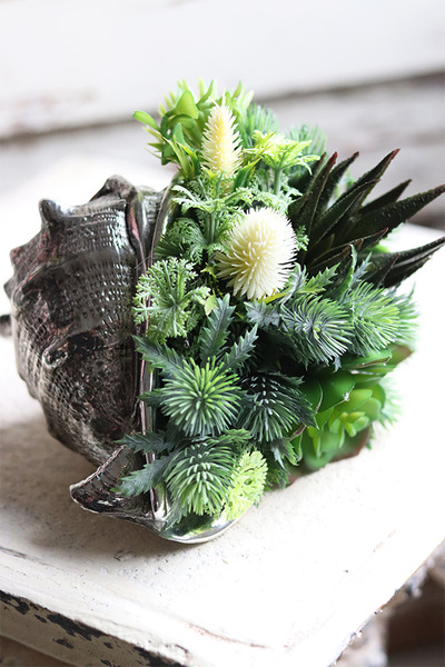 elegancka muszla z sukulentami, Morska Fala, wym.15x18x16cm 