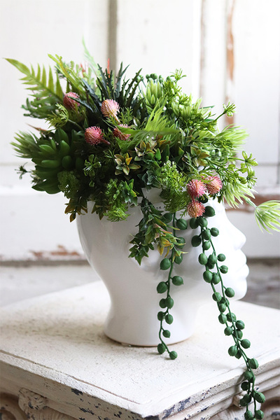 efektowna kompozycja sukulenty w głowie, Big Crazy Head, wys.37cm