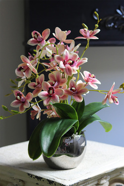 Heliana Basics, gumowy storczyk w srebrnym naczyniu, wys.39cm