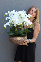 Ceramic House, sztuczny storczyk w ozdobnej misie