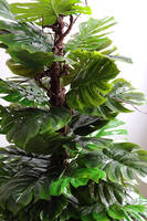 Monstera Walter, drzewko sztuczne w donicy fiberglass