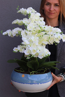 OD RĘKI Quemada Blue 2, sztuczny storczyk w ozdobnej misie, wys.57cm