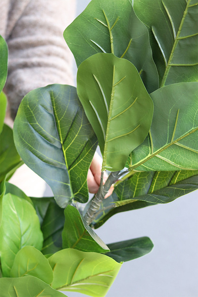 Fikus Dębolistny Walter Grey, sztuczna roślina w donicy fiberglass