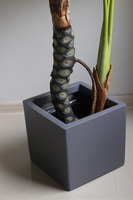 Filodendron Concrete, sztuczna roślina w doniczce