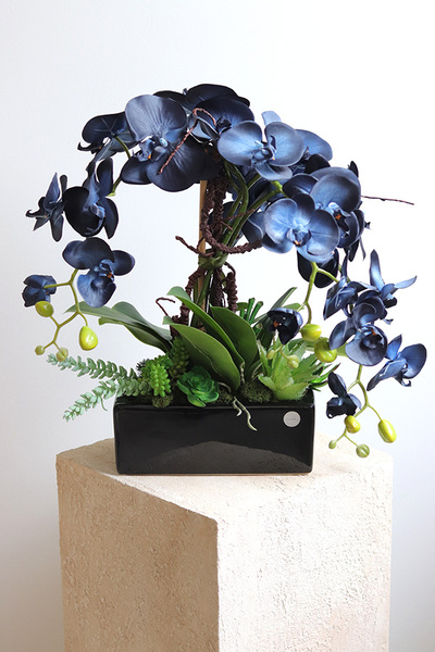 Blue at Home, granatowy storczyk w podłużnej donicy