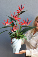 Strelicja Maxi II, egzotyczny bukiet do wazonu klienta, wys.70cm