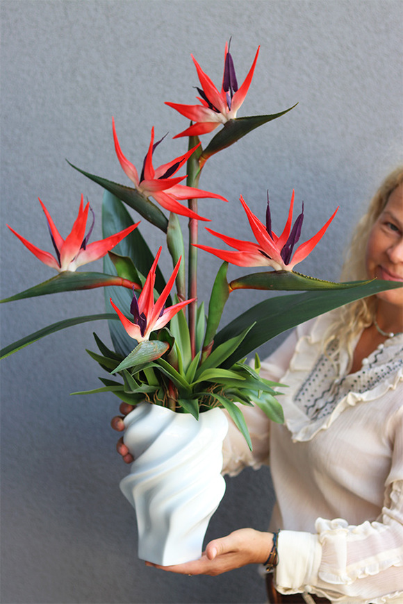 Strelicja Maxi II, egzotyczny bukiet do wazonu klienta, wys.70cm