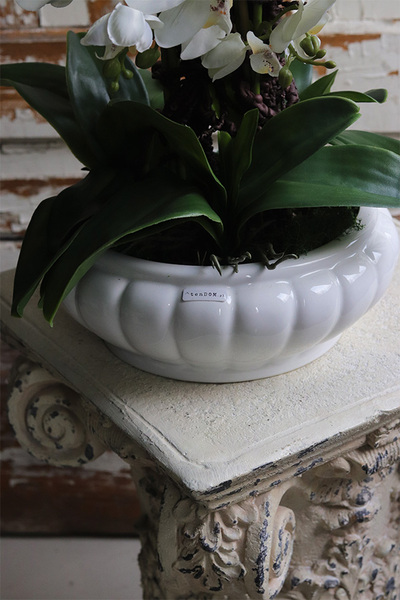 White Pearl Carrington, wysokiej jakości sztuczny storczyk