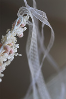 Lotis, wianek na głowę z roślin stabilizowanych, rozmiar uniwersalny