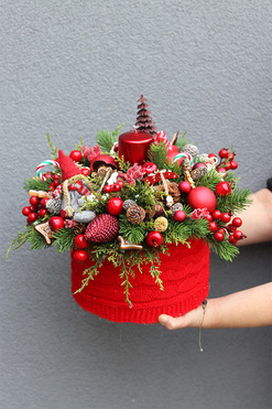 Gwiazdka z Leonem 2, flowerbox świąteczny, wys.34cm