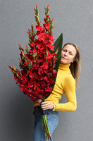 Mieczyki Czerwień, bukiet nagrobny do położenia