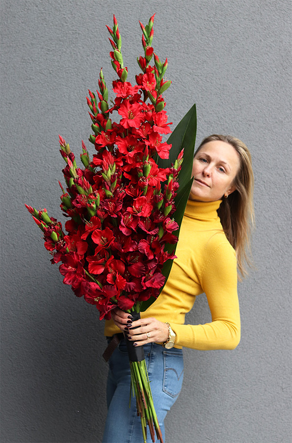 Mieczyki Czerwień, bukiet nagrobny do położenia