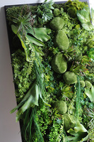 Green Hotels Eureka, czarna jednostronna rama sukulenty