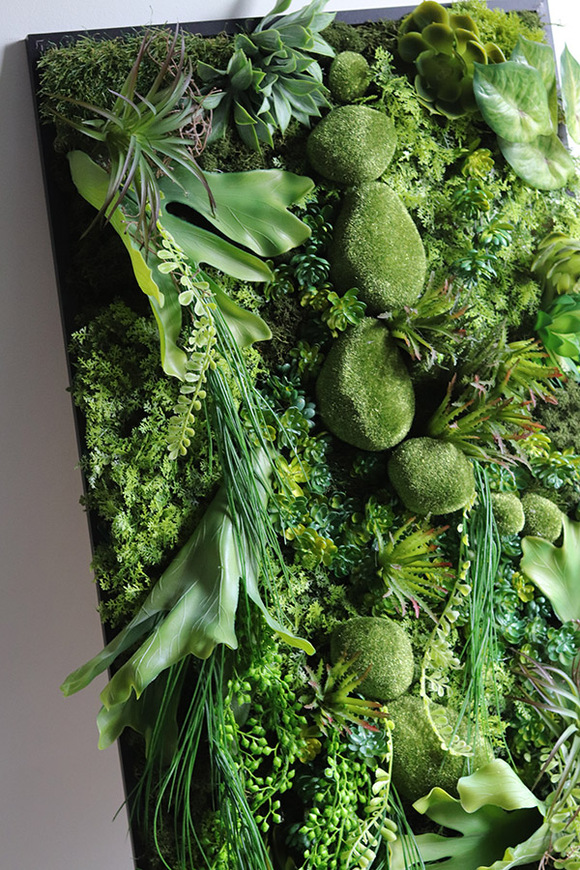 Green Hotels Eureka, czarna jednostronna rama sukulenty