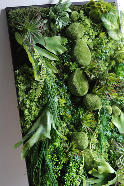 Green Hotels Eureka, czarna jednostronna rama sukulenty