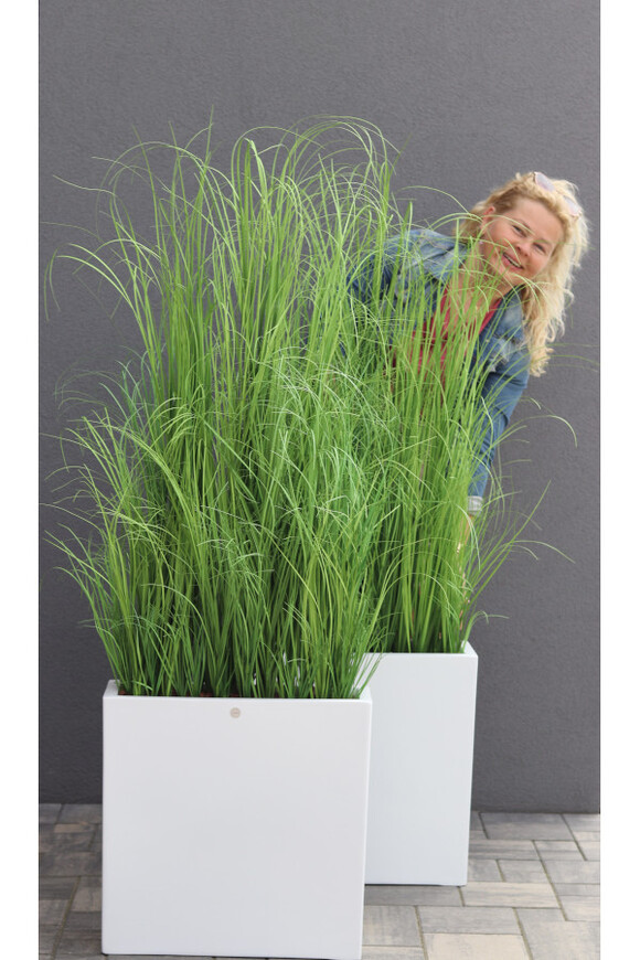 Fiberglass Marco Hazel, sztuczne trawy w białej donicy