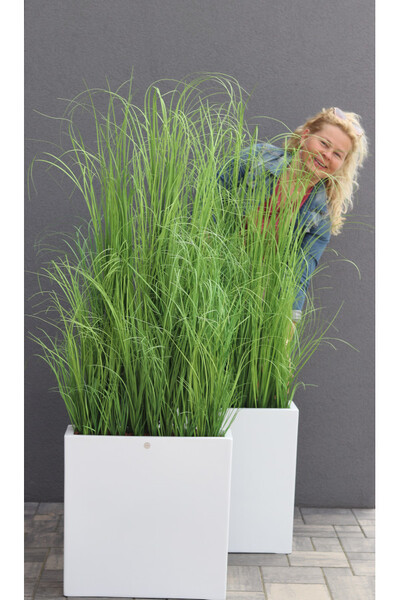 Fiberglass Marco Hazel, sztuczne trawy w białej donicy