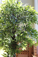 Fikus Benjamin G, sztuczna roślina w doniczce