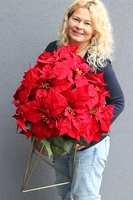 Gwiazda Betlejemska Goldena Mniejsza, wysokiej jakości sztuczna roślina, wym.82x47cm