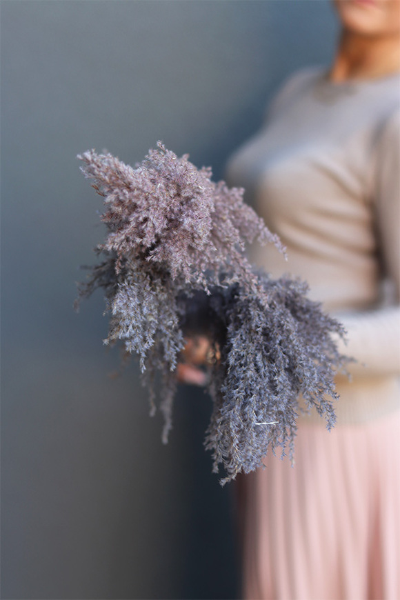 Pampasy Violet Long, bukiet suszonych traw, 3szt, wys.125cm