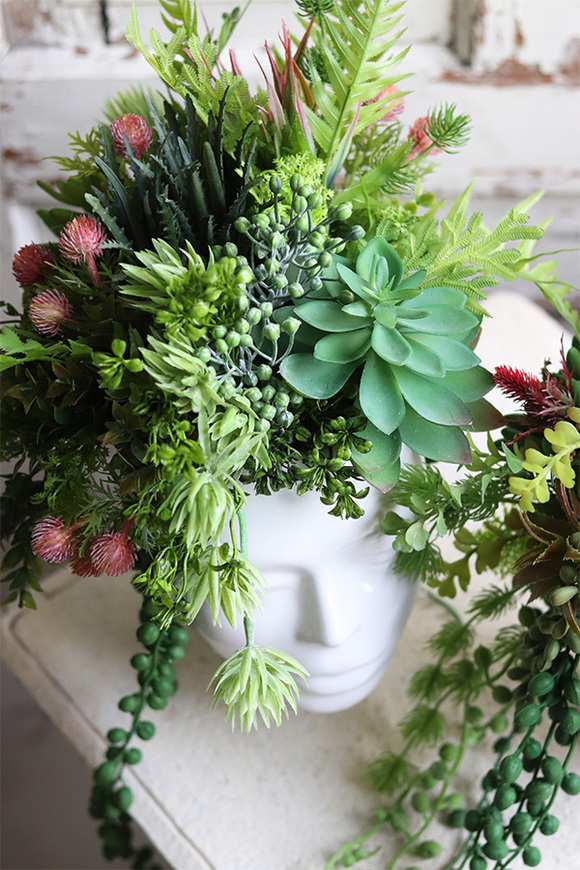 efektowna kompozycja sukulenty w głowie, Big Crazy Head, wys.37cm