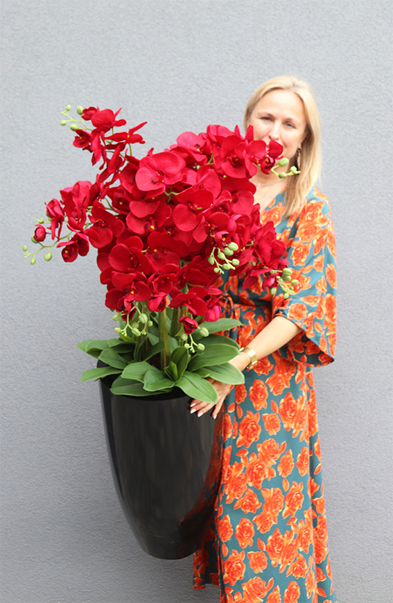Grande Fiberglass Red Orchid, efektowny storczyk w czarnej donicy