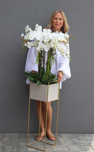 Duo Italiano, sztuczny storczyk na stojaku, wys.148cm