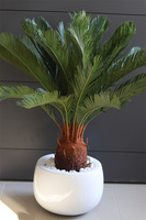 Cykas Fiberglass White, sztuczna roślina w donicy