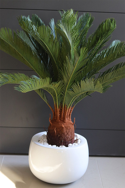 Cykas Fiberglass White, sztuczna roślina w donicy