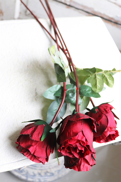 bukiet róż, Premiolla, czerwone, 4szt, dł. 52cm