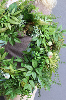 Green Kongo, zielony wianek z eukaliptusem