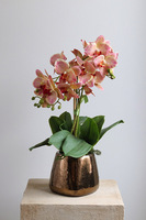 Castellamare Elite, różowy storczyk w miedzianej donicy