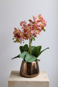 OD RĘKI Castellamare Elite, różowy storczyk w miedzianej donicy, wys.50cm