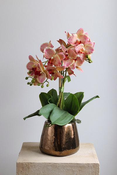 Castellamare Elite, różowy storczyk w miedzianej donicy