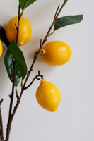 Lemon, gałązka sztuczna roślina cytryna