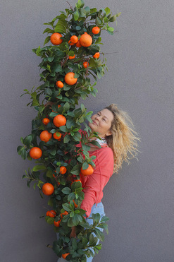 Olimpia Pomarańcze, zielona girlanda dekoracyjna z owocami, dł.100cm