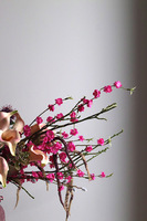 Etno Spring, wiosenna kompozycja w różowym wazonie
