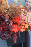 Septiembre Saute, jesienna dekoracja do twojej donicy