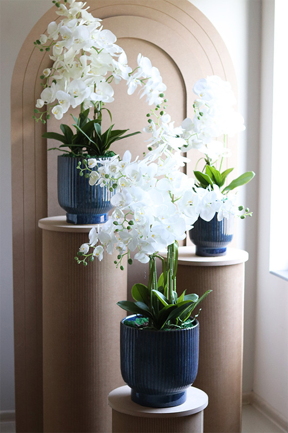  Deep Blue , sztuczny storczyk w granatowej donicy