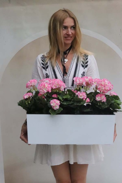 Summer Balcony Pink 3, różowe pelargonie w skrzynce balkonowej